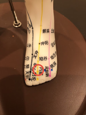 泉木鍼灸整体院 사진 3