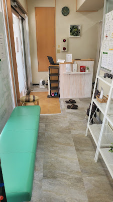 松戸はちがさき鍼灸整骨院 Plus+e 사진 3