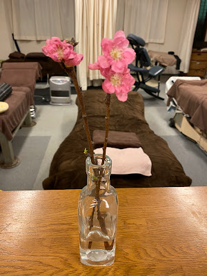 整体院Cureroom 사진 5