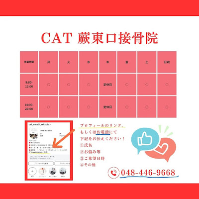 Cat Warabi Higashiguchi Orthopedic Clinic 사진 4