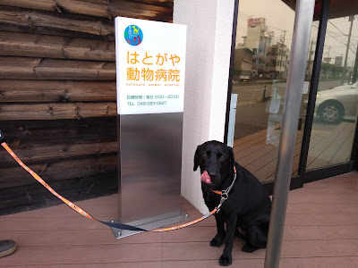 はとがや動物病院 사진 5