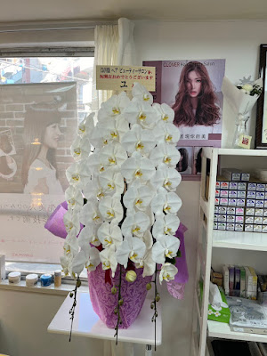 CLOVER Hair Beauty Salon 사진 3