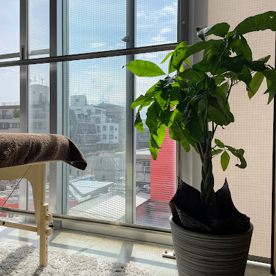 ふわ筋Lab 自由が丘店 사진 4
