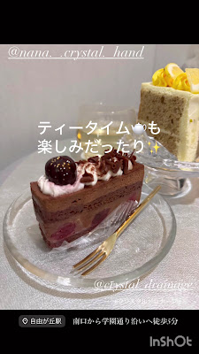 Crystallo Sana N 自由が丘 クリスタリオサーナN 사진 2