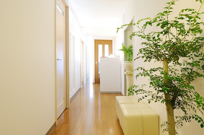 Oisoshinkyu Clinic 사진 2