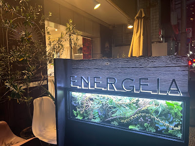 ENERGEIA(エネルジア) 사진 2