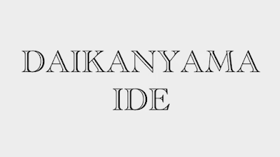 DAIKANYAMA IDE 整骨院 鍼灸マッサージ院 사진 4