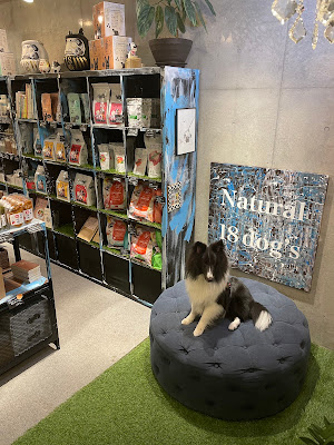 Natural 18dog's代官山店 사진 4