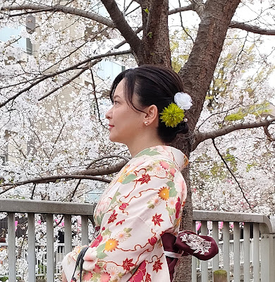NicoTour Japan 사진 3