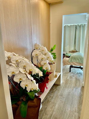 IKEHATA Harikyu Clinic 사진 3