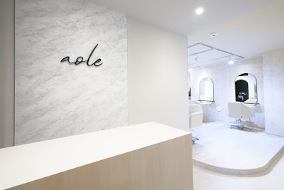 aole 사진 3
