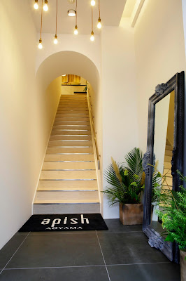 apish AOYAMA 사진 4