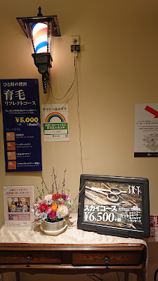 Skyview Lex Dai-ichi Hotel 사진 3