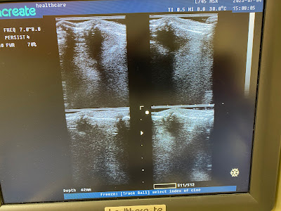 Kitakasaiako Orthopedic Clinic 사진 4