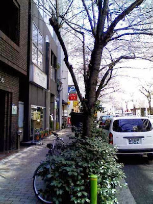 Cure House Shinkyu Clinic 사진 3