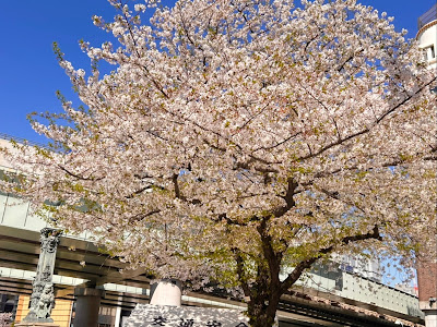 はりきゅう整体院ハリフル 사진 5