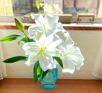 Shinjukukato Acupuncture 사진 4