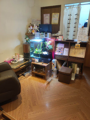 Yokukikushinkyuin Yokunaru Acupuncture 사진 2
