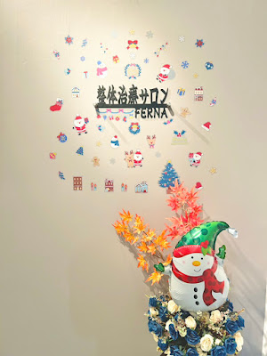 東新宿整体治療サロン FERNA 사진 2