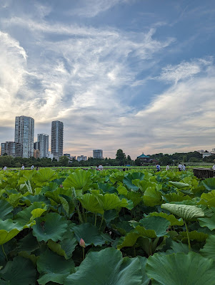 夢足庵 사진 2
