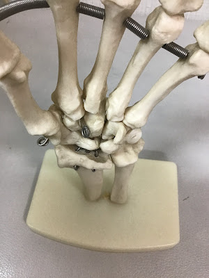 Itoshinkyu Orthopedic Clinic 사진 4