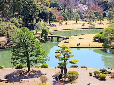 Hydrangeas at Rikugien Gardens 사진 3