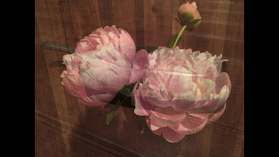治療院アジアート 사진 2