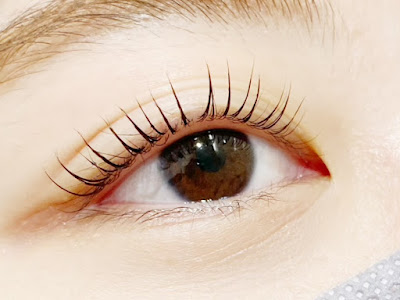 Diamond Eyes Ginza - Eyelash & Eyebrow Salon 사진 3