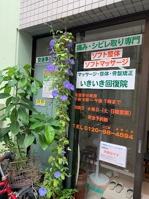 いきいき回復院 사진 3