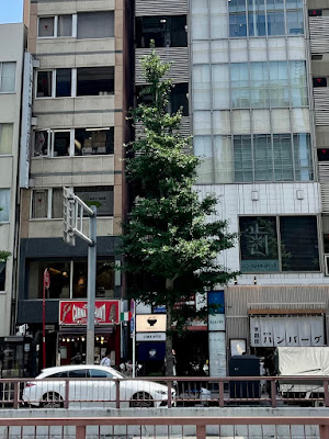 ファブカイロプラクティック 사진 4