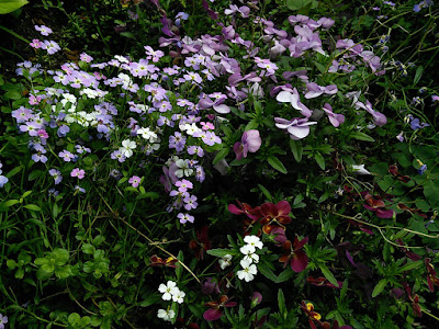 Setagaya Art Museum Taiji Kiyokawa Memorial Gallery 사진 3