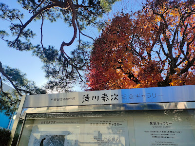 Setagaya Art Museum Taiji Kiyokawa Memorial Gallery 사진 2