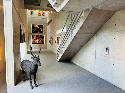 Tokyo Art Museum 사진 4