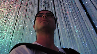 teamLab Borderless: MORI Building DIGITAL ART MUSEUM 사진 2
