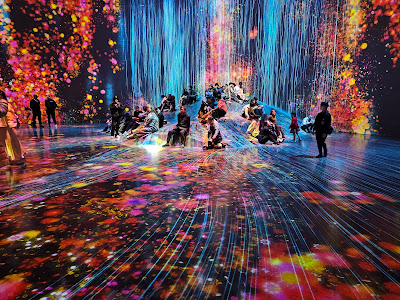 teamLab Borderless: MORI Building DIGITAL ART MUSEUM 사진 3