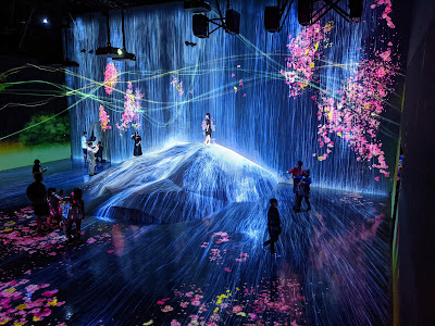 teamLab Borderless: MORI Building DIGITAL ART MUSEUM 사진 4