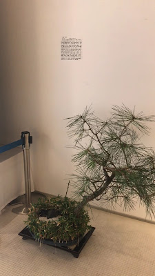 Rokucho Museum Flora 사진 2