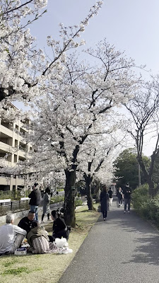 센다이보리가와 공원 사진 2