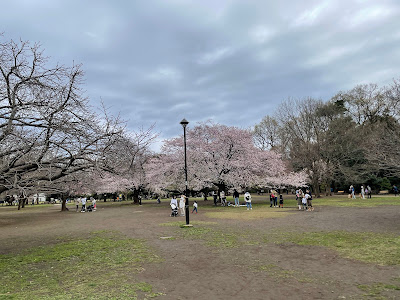遊びの広場 사진 5