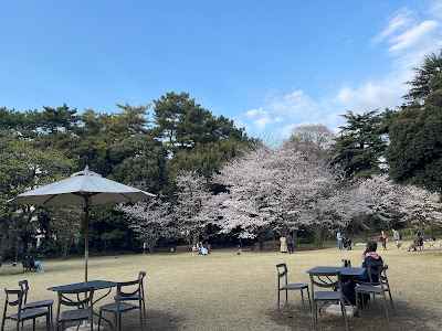 Tokyo Metropolitan Teien Art Museum - Japanese Garden 사진 3