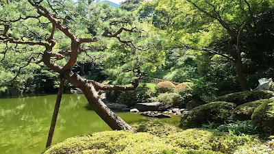 Tokyo Metropolitan Teien Art Museum - Japanese Garden 사진 2