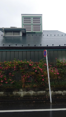 福沢一郎記念館 사진 2