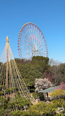 일본정원 사진 2