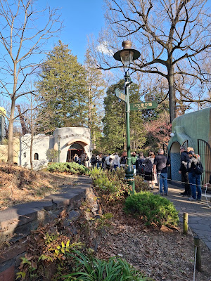 Suwa Lucanidae Museum 사진 4