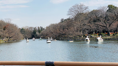 Inokashira Park Sports Facilities Management Center 사진 3