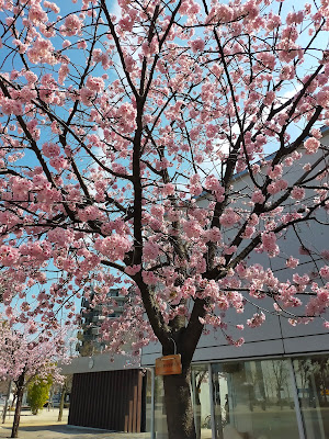Kawaguchi Municipal Art Gallery Atria 사진 4
