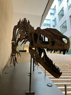 Oishi Fossils Gallery of Mizuta Memorial Museum, Josai Unversity Educational Corporation 사진 3