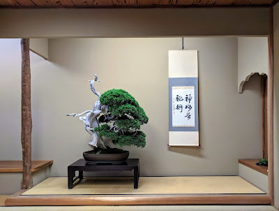 Shunkaen Bonsai Museum 사진 3