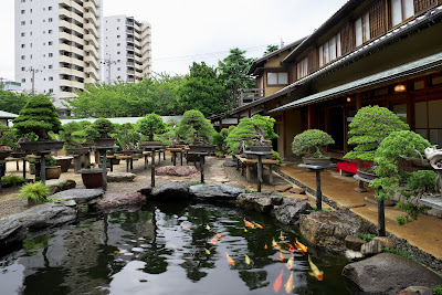 Shunkaen Bonsai Museum 사진 4