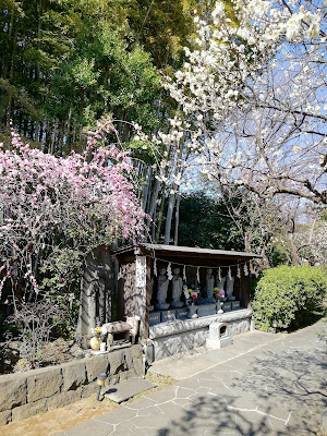 日本漫画博物館（まんが寺） 사진 2
